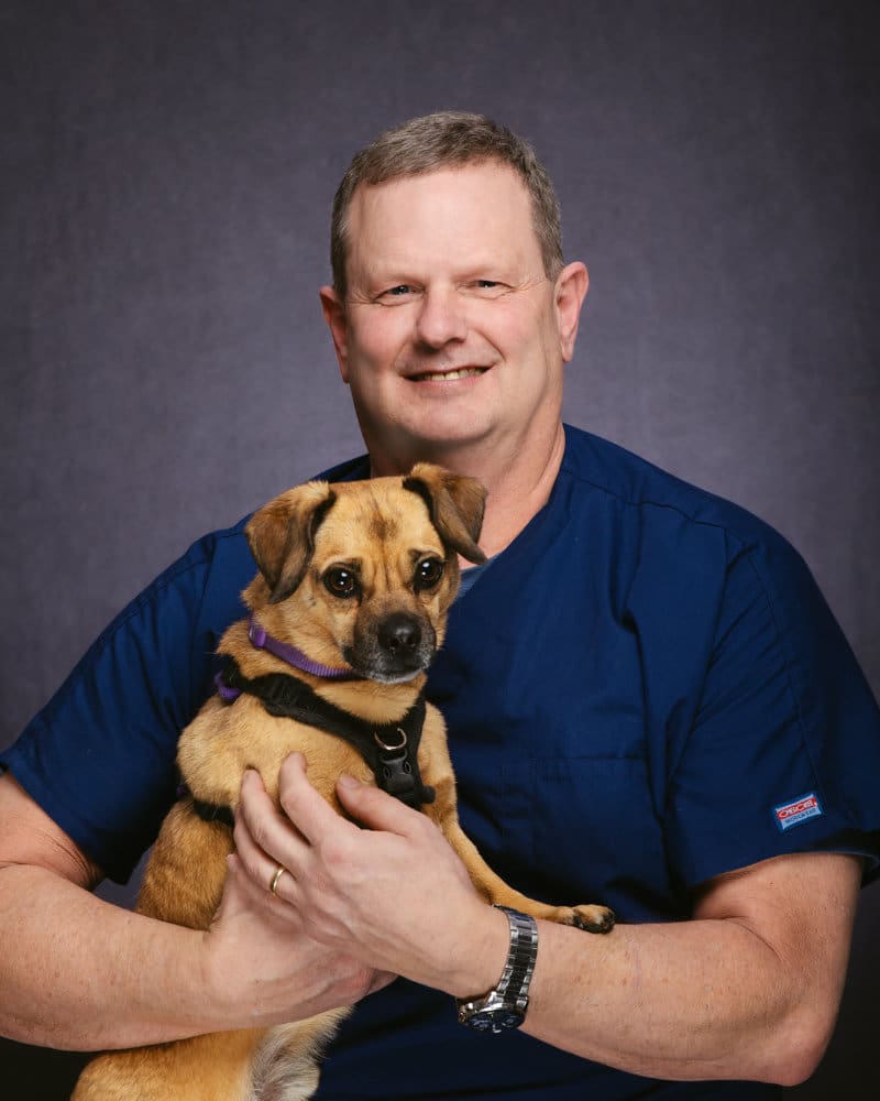 veterinary dental specialists; board-certified vet dentist missouri